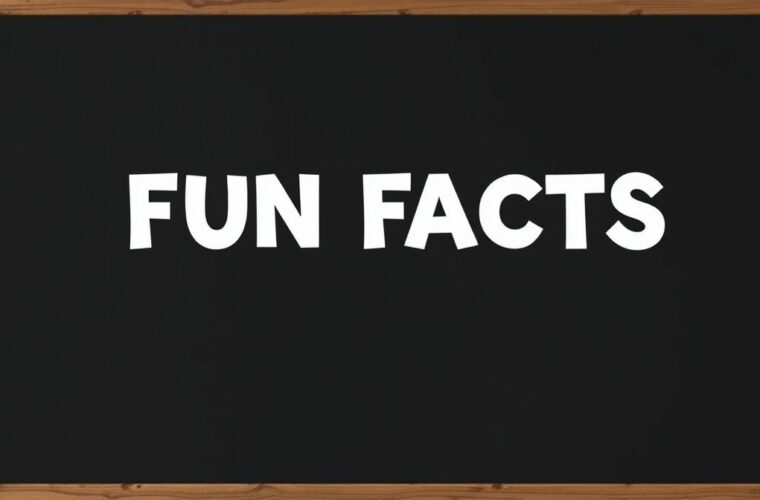 fun facts thelowdownunder
